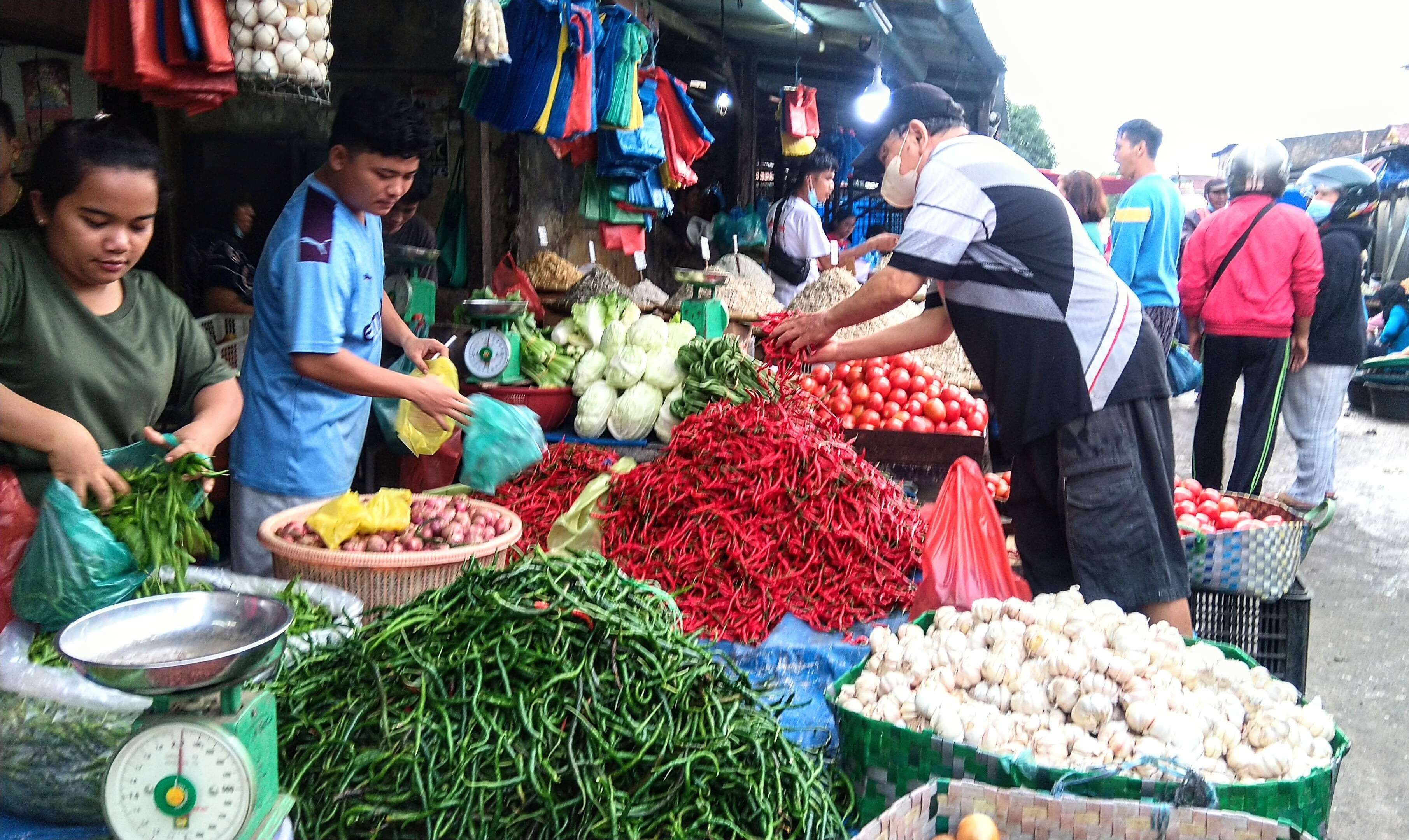 Berkah Pangan